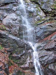 Picture_2 042
